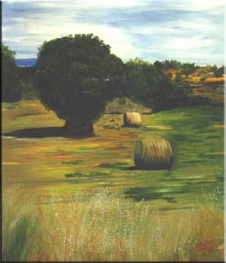 Feld in Spanien, Oel auf Leinwand,84x94